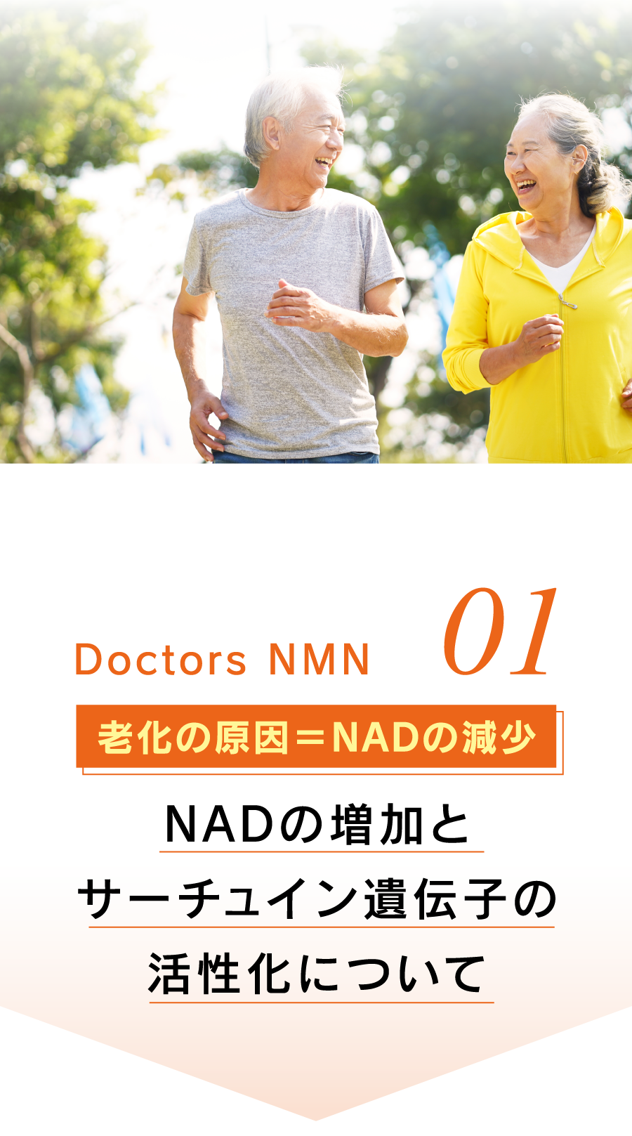 01 老化の原因＝NADの減少 NADの増加とサーチュイン遺伝子の活性化について