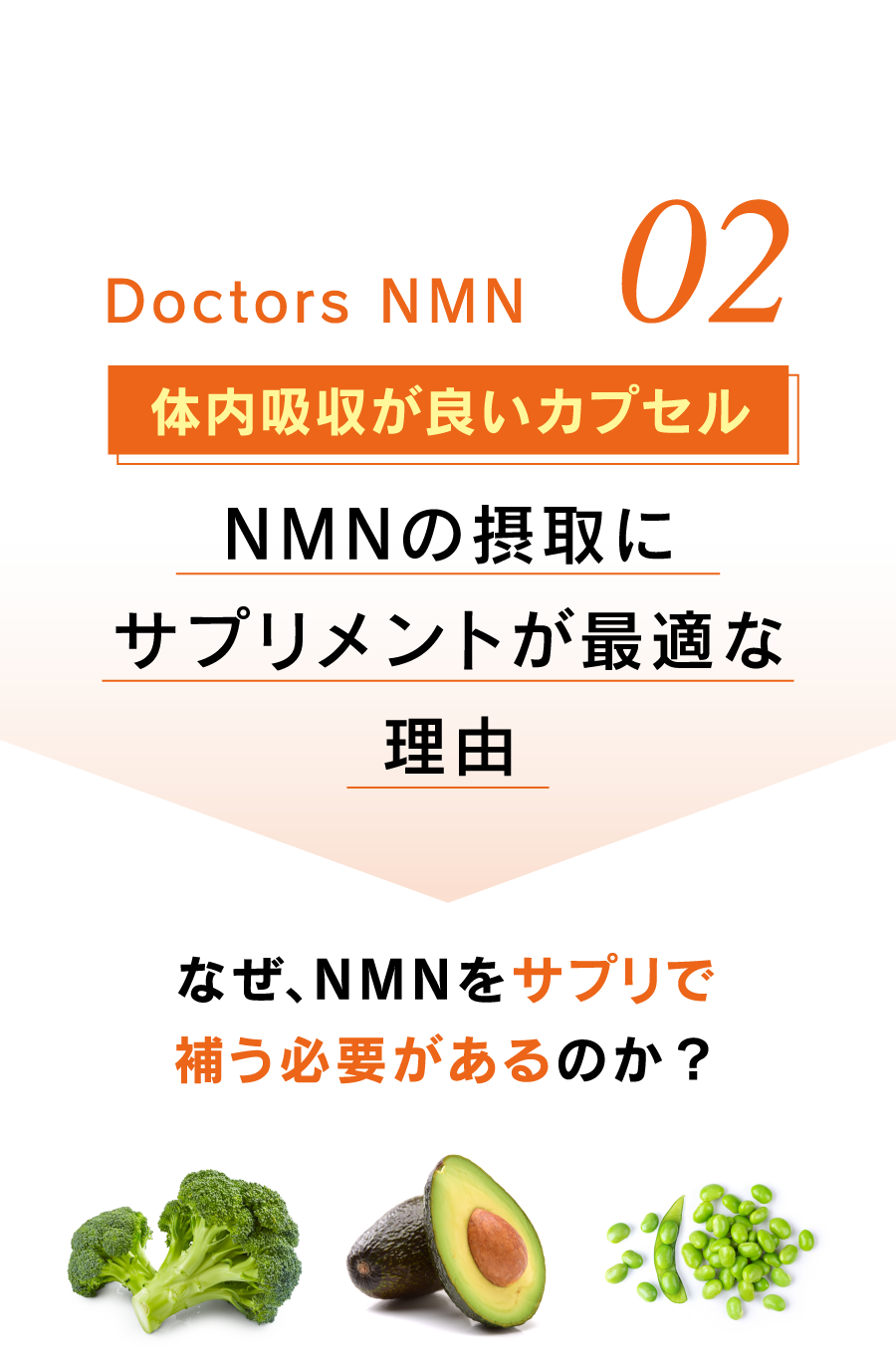 02 体内吸収が良いカプセル NMNの摂取にサプリメントが最適な理由 なぜ、NMNをサプリで補う必要があるのか？