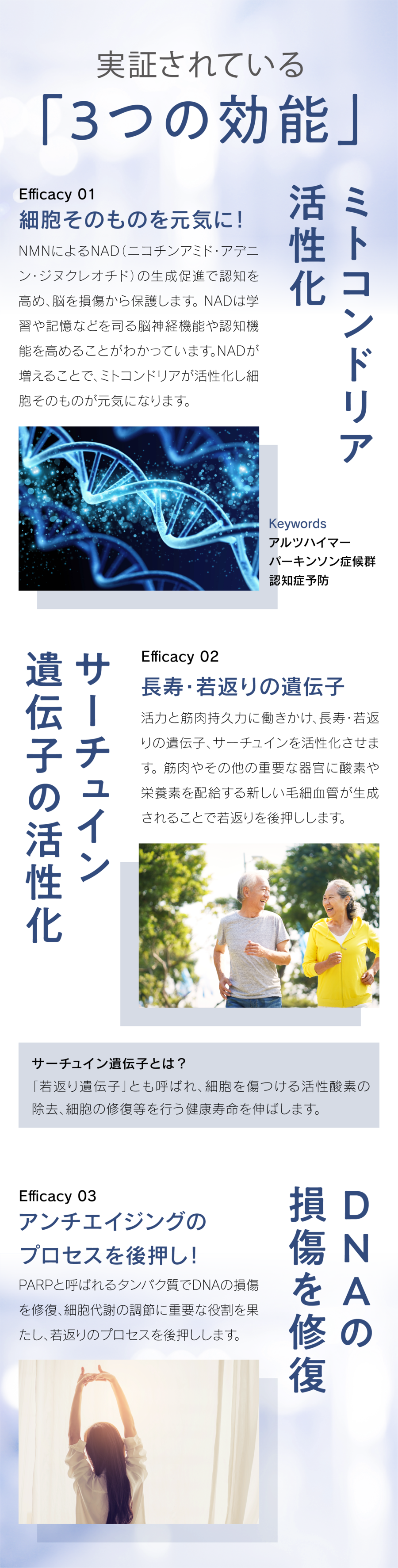 細胞そのものを元気に！NMNによるNAD（ニコチンアミド・アデニン・ジヌクレオチド）の生成促進で認知を高め、脳を損傷から保護します。 NADは学習や記憶などを司る脳神経機能や認知機能を高めることがわかっています。NADが増えることで、ミトコンドリアが活性化し細胞そのものが元気になります。　長寿・若返りの遺伝子 活力と筋肉持久力に働きかけ、長寿・若返りの遺伝子、サーチュインを活性化させます。 筋肉やその他の重要な器官に酸素や栄養素を配給する新しい毛細血管が生成されることで若返りを後押しします。　アンチエイジングのプロセスを後押し！ PARPと呼ばれるタンパク質でDNAの損傷を修復、細胞代謝の調節に重要な役割を果たし、若返りのプロセスを後押しします。