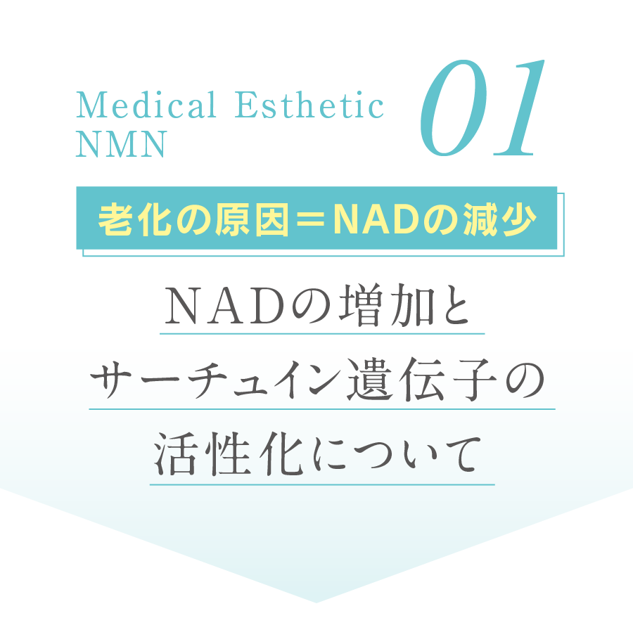 01 老化の原因＝NADの減少 NADの増加とサーチュイン遺伝子の活性化について
