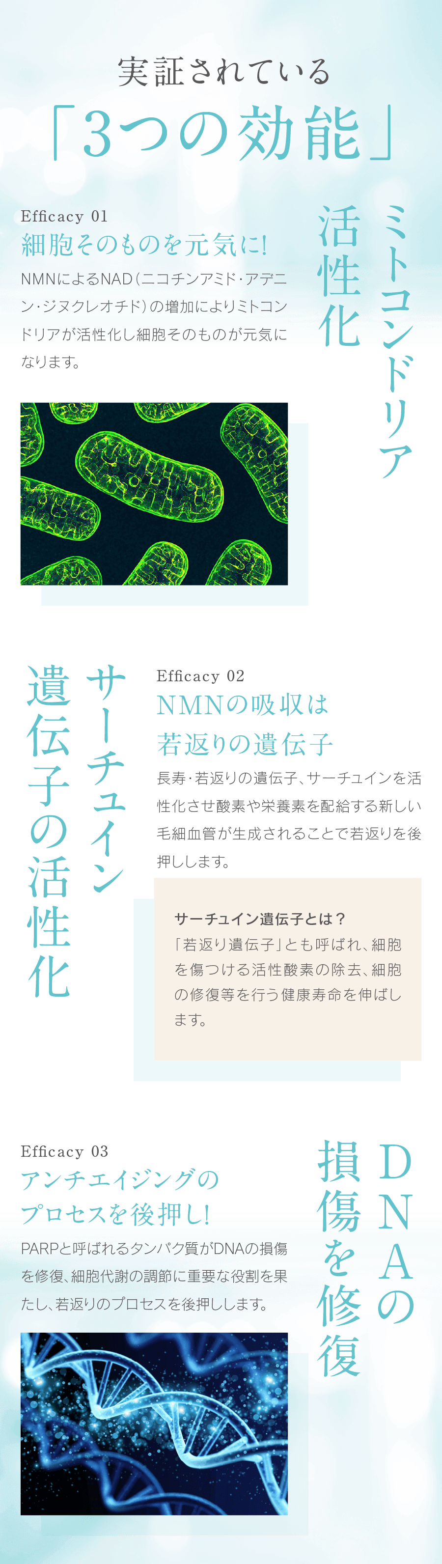 実証されている「３つの効能」