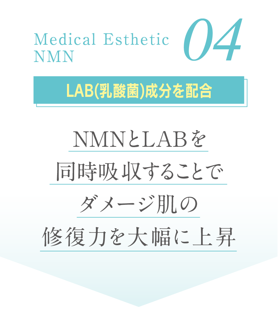 04 LAB(乳酸菌)成分を配合　NMNとLABを同時投与することでダメージ肌の修復力を大幅に上昇