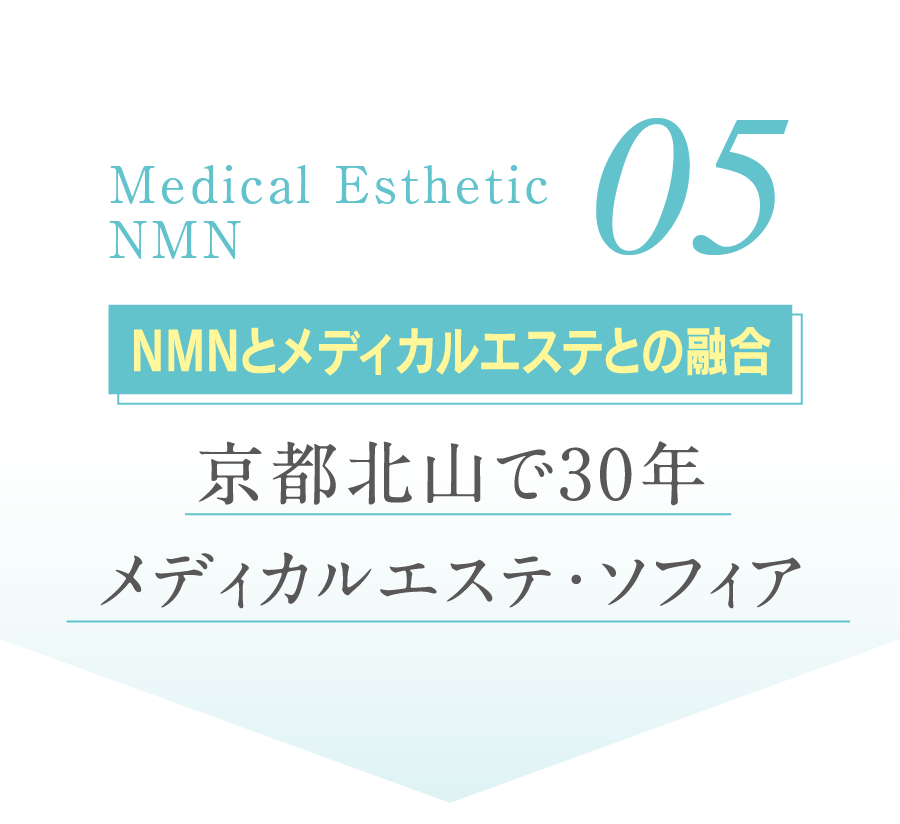 05 NMN原料の安全性 国産で高純度高品質 大切なのは､「純度の高さ」と「不純物の安全性」です。安全で高品質のNMNサプリを選ぶためには､NMN成分の生産方法について知る必要があります。